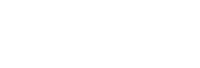 CHASING Cleaner