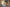 Video alt text